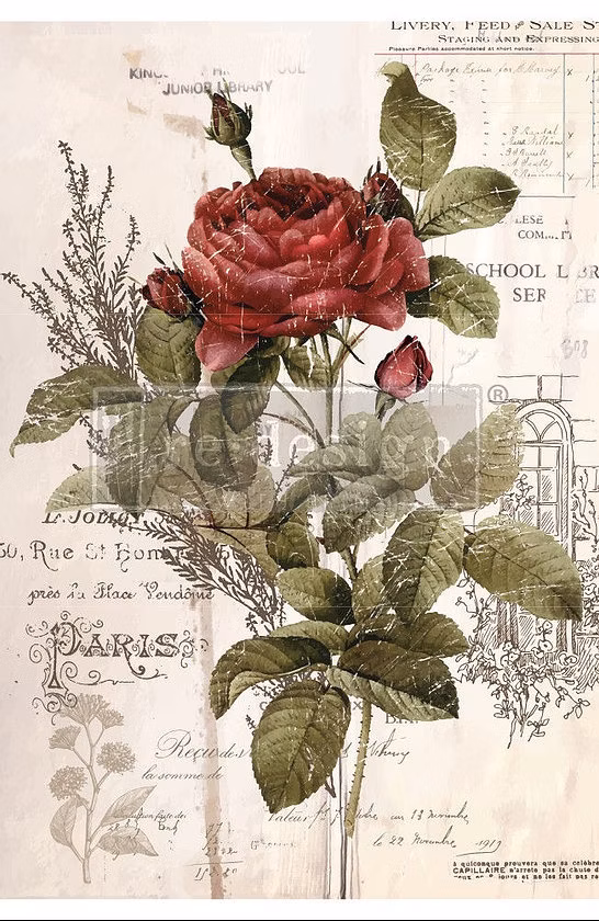 Botanical_Rose